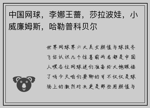 中国网球，李娜王蔷，莎拉波娃，小威廉姆斯，哈勒普科贝尔